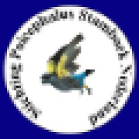 PSN logo - Similar company to Robux