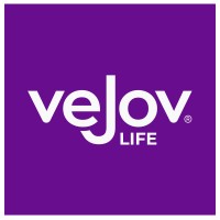 veJov Life logo - Similar company to Pixel Painters