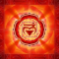 Transmissions to the Awakened