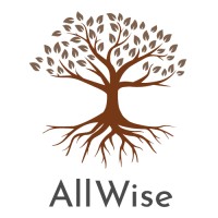Be AllWise logo - Similar company to Conch Shell Media Llc