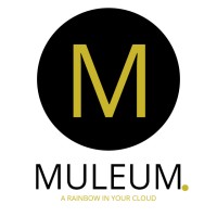 muleum logo - Similar company to Dynamicspact