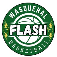 WASQUEHAL FLASH BASKET logo - Similar company to Time2Sharecx