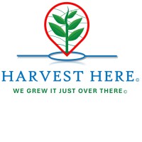 Harvest Here logo - Similar company to Envisionation Ltd