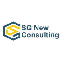 SG New Consulting logo - Similar company to Iconic Technologies