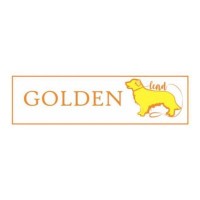 Golden Lead logo - Similar company to Wizzy Magic, S.A.