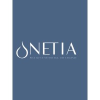 NETIA Sàrl logo - Similar company to Concreda Ag
