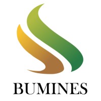 PT. Bumi Indo Resources logo - Similar company to Pt Pramulia Xpert Solutions