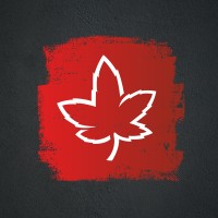 Liquidambar Estudio logo - Similar company to Señal De Ajuste Srl