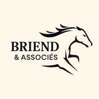 Briend & Associés logo - Similar company to Prospheres Dirigeants