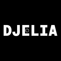 DJELIA logo - Similar company to Ivoirobot