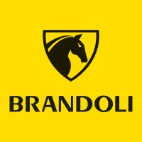 Brandoli Egidio srl logo - Similar company to Bizzarrini Uae 🇦🇪