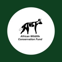 African Wildlife Conservation Fund logo - Similar company to Instituto De Conservación Y Fauna