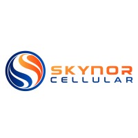 SKYNOR CELLULAR PRIVATE LIMITED logo - Similar company to Design Intelligence Llp