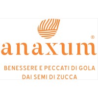 Anaxum logo - Similar company to Project Air