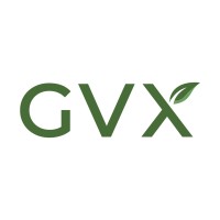 GVX Clean logo - Similar company to Dpm Surface Care