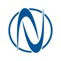 NETSER Group logo - Similar company to Ae Bina Teknolojileri A.Ş.