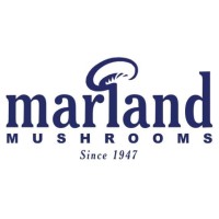 Marland Mushrooms logo - Similar company to Greenfield Mowers