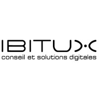 IBITUX logo - Similar company to Doers Agency