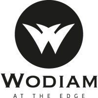 Wodiam Diamond tools logo - Similar company to Ims