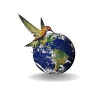 ECOAMB Pesquisas Ambientais logo - Similar company to Ecoreg Do Brasil