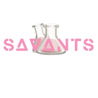 SAVANTS logo - Similar company to Place Du Beau