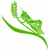 Chelsea Green Publishing logo - Similar company to Sorting Room Studios