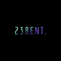 238 Entertainment logo - Similar company to Wordscribe Productions