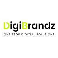 Digibrandz IT Solutions Pvt Ltd logo - Similar company to Exquisite Creations Software And Digital Solutions