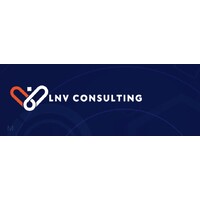 LNV Consulting Limited logo - Similar company to Seb Azzo