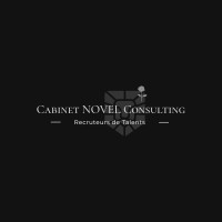 Cabinet NOVEL Consulting logo - Similar company to Cabinet Patok