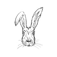 Angry Hare