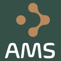 AMS SAS logo - Similar company to Runreal – Esn & Conseil It Orientés Résultats Et Innovation