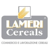 LAMERI SPA logo - Similar company to Martinorossi