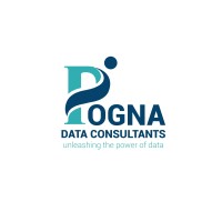 Pogna Data Analytics logo - Similar company to Fundstream