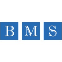 BOARD MANAGEMENT SERVICES logo - Similar company to Lamsa
