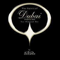 The Spirit of Dubai logo - Similar company to Atomics