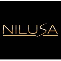 Nilusa logo - Similar company to Nori Media Group
