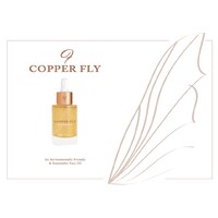 Copper Fly logo - Similar company to Produce Solutions