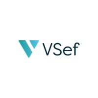 VSef logo - Similar company to Msp Technologies