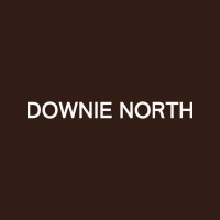 Downie North logo - Similar company to Castlepeake
