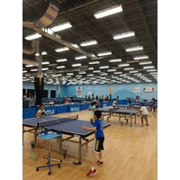 Triangle Badminton & Table Tennis logo - Similar company to Pure Tree Solutions