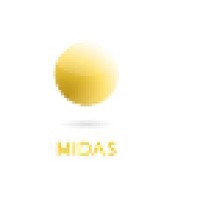 Midas Management & Consulting Services Private Limited logo - Similar company to Steadfast Partners