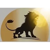 Iliev Capital Partners logo - Similar company to Waview