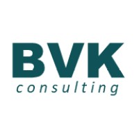 BVK CONSULTING SRL logo - Similar company to Dimensione Controllo