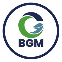 Buena Gobernanza Mundial logo - Similar company to Gobernanza, Innovación Y Tecnología Consulting