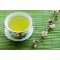 GreenTeaMerchant.com logo - Similar company to Shizuokatea.Com