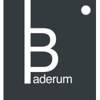 Baderum Group logo - Similar company to Faldsikring.Nu