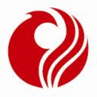 Phoenix intervention après sinistre logo - Similar company to Pieux Vistech - Postech Screw Piles Inc.
