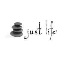 Just Life Studio logo - Similar company to Progettofisio Llc