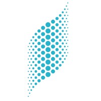 DataFlooder logo - Similar company to Skillloop